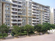 深圳市龍崗區(qū)理想新城公共區(qū)域檢測白蟻